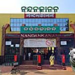 ସ୍ନାନଯାତ୍ରାରେ ଭକ୍ତଙ୍କୁ ଦର୍ଶନ ଦେବେ ମହାବାହୁ । କିନ୍ତୁ ଶ୍ରୀବିଗ୍ରହମାନଙ୍କୁ ସ୍ପର୍ଶ କରି ପାରିବେ ନାହିଁ ଭକ୍ତ ।