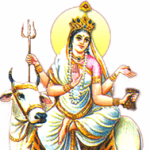 ଶ୍ରୀ ମନ୍ଦିରରେ ଶାକ୍ତ ଗୁଣ୍ଡିଚା । ଅନ୍ୟ ଅର୍ଥରେ ଏହା ଗୁପ୍ତ ଗୁଣ୍ଡିଚା ନାମରେ ପ୍ରସିଦ୍ଧ।