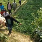 ଟେଣ୍ଡରରେ ତ୍ରୁଟି; ଫସିଗଲେ ଏନ୍ଏସି କର୍ତୁପକ୍ଷ