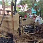 ଭୋଗରାଇରେ ବିଜେପିର ଧାରଣା