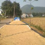 ଖଜୁରୀପଡ଼ାରେ ପାଳିତ ହେଲା ଜନଜାତି ଉତ୍ସବ…