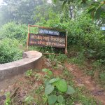 ଗମ୍ଭାରିଗୁଡ଼ାରେ ଗୋଷ୍ଟାଷ୍ଟମୀ ପୂଜା କଳସ ଯାତ୍ରା ଅନୁଷ୍ଠିତ…